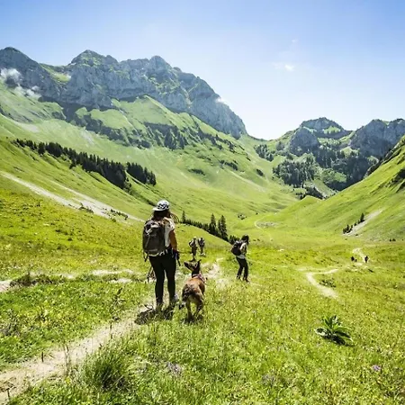 Voinettes Vnb3 Telecabine & Mountain 4 Pers Chatel